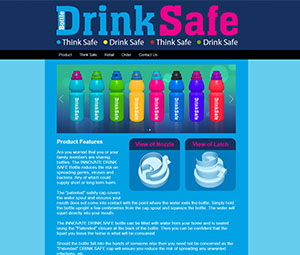 website example 3